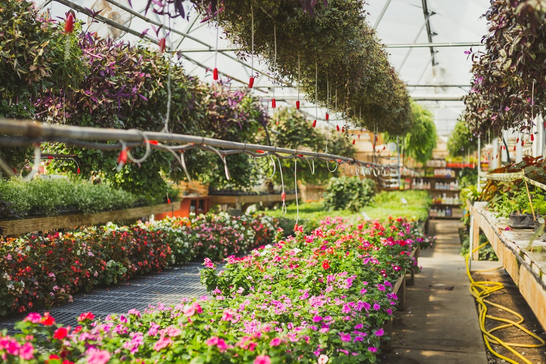 Felle bloemen sieren de zonovergoten hobbykas. Felle bloemen sieren de zonovergoten hobbykas.