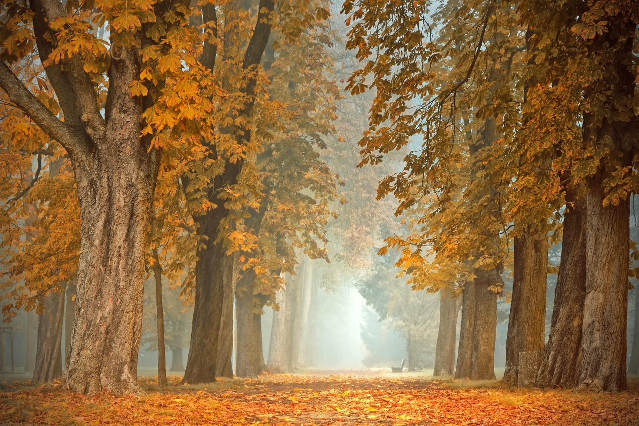 Comfortabele buitenzitjes met dekens en herfstkleuren. Comfortabele buitenzitjes met dekens en herfstkleuren.