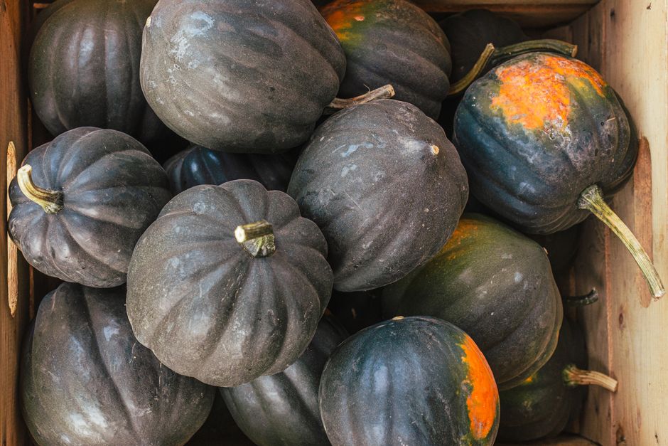 Eikels en dennenappels in herfstmand. Eikels en dennenappels in herfstmand.